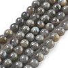Natural Labradorite Beads Strands X-G-S333-6mm-035-01-1