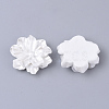 Resin Cabochons RESI-S364-46B-2