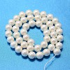 Round Shell Pearl Bead Strands BSHE-L011-10mm-A013A-3
