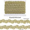 Metallic Polyester Ribbon OCOR-WH0065-07A-2