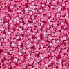 MIYUKI Round Rocailles Beads X-SEED-G009-RR0575-3