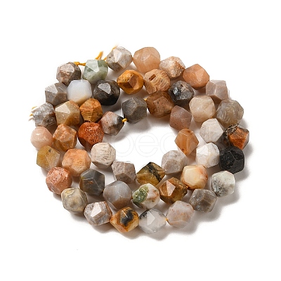 Natural Fossil Coral Beads Strands G-K382-A07-02-1