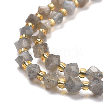 Natural Labradorite Beads Strands G-P463-35-1
