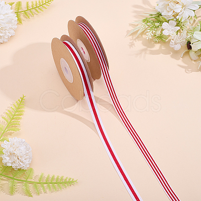 2 Rolls 2 Styles Polyester Striped Ribbon OCOR-ME0001-98-1