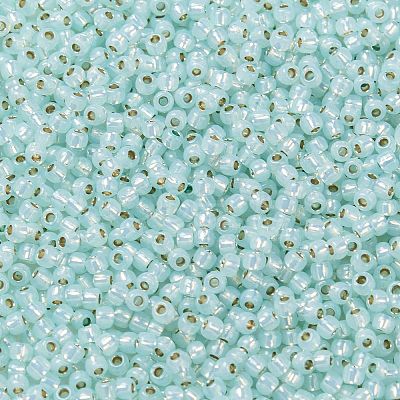 TOHO 11/0 Round Beads X-SEED-TR11-PF2116-1