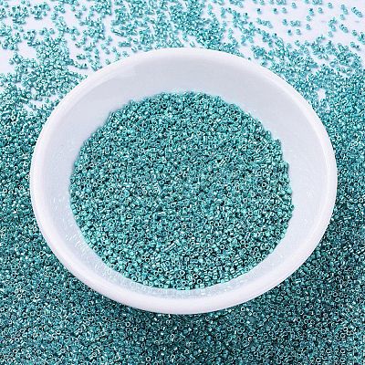 MIYUKI Delica Beads X-SEED-J020-DB0427-1