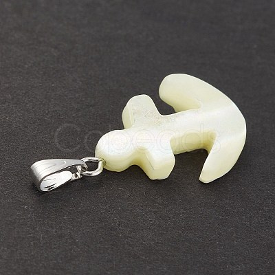 Natural Trochid Shell/Trochus Shell Pendants SSHEL-K027-13-1