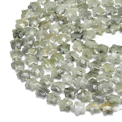 Natural Labradorite Beads Strands G-P573-C07-01-1
