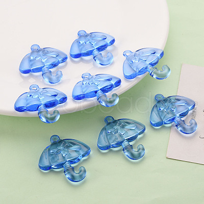 Transparent Acrylic Pendants TACR-T024-01B-940-1