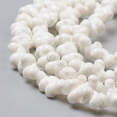 Natural Spiral Shell Beads Strands X-BSHE-I011-11C-1