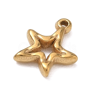 304 Stainless Steel Charms SA-B007-02G-C-1