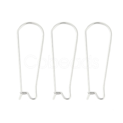 304 Stainless Steel Hoop Earring Findings LS-STAS-P223-01S-05-1