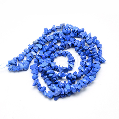 Synthetic Turquoise Beads Strands X-G-R002-09-1