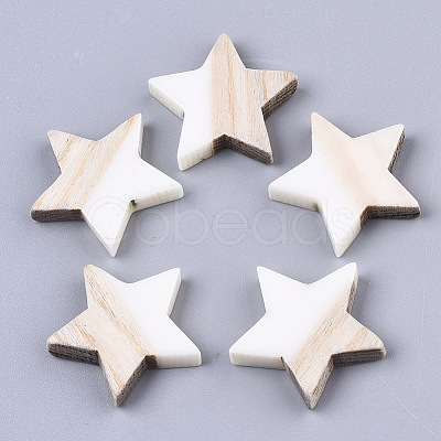 Resin & Wood Cabochons LS-RESI-R425-02I-1