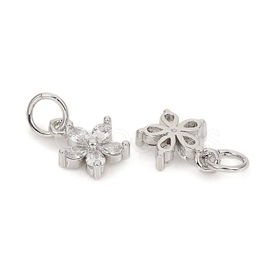 Brass Micro Pave Cubic Zirconia Charms LS-ZIRC-L096-10P-1