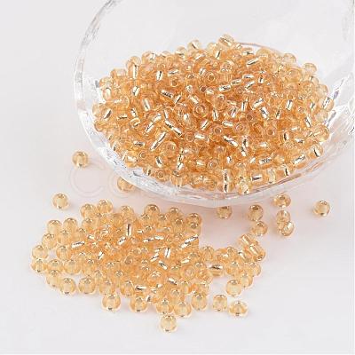 6/0 Round Silver Lined Round Hole Glass Seed Beads X-SEED-A005-4mm-22-1