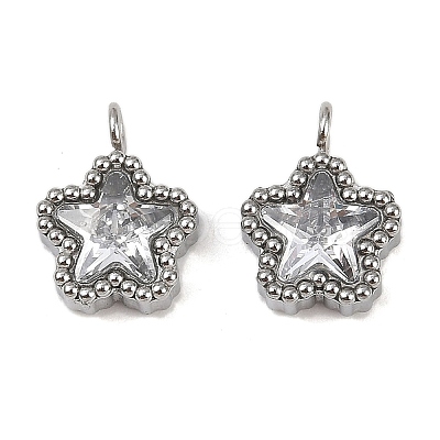 304 Stainless Steel Micro Pave Cubic Zirconia Charms LS-STAS-K302-01A-P-1