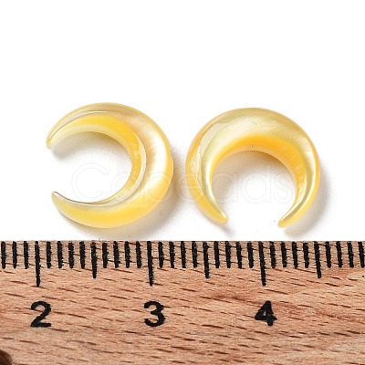 Natural Yellow Shell Beads SHEL-M020-04B-1