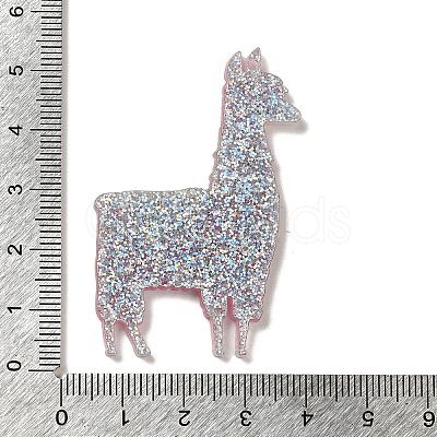 Acrylic Pendants X-OACR-R270-01B-1