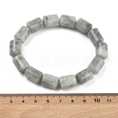 Column Natural Labradorite Beads Stretch Bracelets for Women Men BJEW-A148-01A-24-1