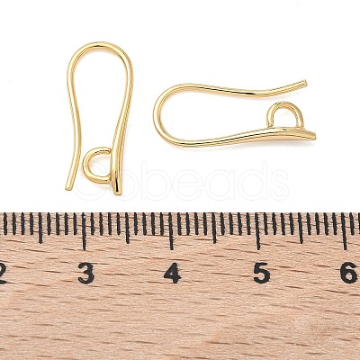 SHEGRACE Brass Earring Hooks XGR0003G-42G-1