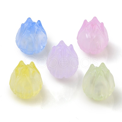 Transparent Acrylic Beads X-OACR-K005-13-1