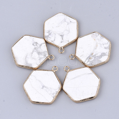 Natural Howlite Pendants G-S344-89I-1