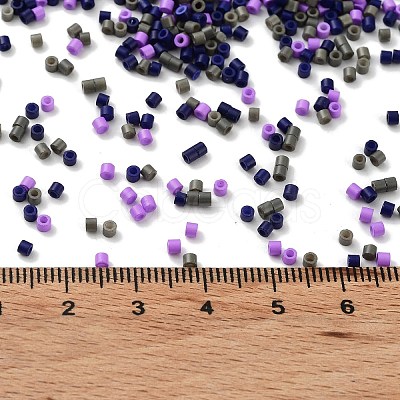 Baking Paint Glass Seed Beads X-SEED-S042-05B-54-1
