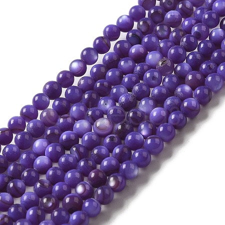 Natural Freshwater Shell Beads Strands SHEL-H003-03B-1