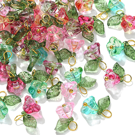 50Pcs 5 Colors Glass Charms FIND-CJ0001-15-1