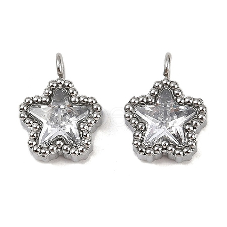304 Stainless Steel Micro Pave Cubic Zirconia Charms LS-STAS-K302-01A-P-1
