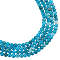 Nbeads 2 Strands Round Natural Apatite Beads Strands, Grade AB, 4~4.6mm, Hole: 1mm, about 93pcs/strand, 6.10''(15.5cm)