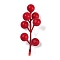 Christmas Theme Foam Imitation Berry, with Iron Wire, for Christmas Table Party Home Decor, Fruit, 90x38x40mm