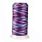 Segment Dyed Round Polyester Sewing Thread, for Hand & Machine Sewing, Tassel Embroidery, Purple, 12-Ply, 0.8mm, about 300m/roll