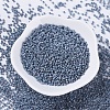 MIYUKI Delica Beads X-SEED-J020-DB0376-2