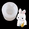 DIY Easter Rabbit Figurine Display Silicone Molds DIY-G070-01C-1