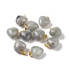 Natural Labradorite Pendants G-I311-A03-G-3