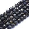 Natural Iolite Beads Strands G-E561-16-10mm-1