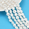Electroplated Shell Pearl Beads Strands BSHE-G027-13A-1