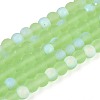 Frosted Transparent Glass Beads Strands GLAA-T032-T4mm-MBB17-1