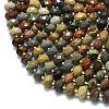 Natural Ocean Jasper Beads Strands G-P573-A25-01-3