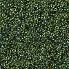 MIYUKI Round Rocailles Beads SEED-G007-RR0350-3