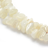 Natural White Moonstone Beads Strands G-P332-01-3