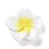 Opaque Resin Cabochons X-RESI-G068-02F-1