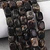 Natural Biotite Beads Strands G-D098-D15-1