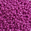 Baking Paint Glass Seed Beads SEED-S003-K21-3