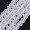 Frosted Glass Bead Strands GLAA-G016-10mm-01-1