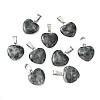 Natural Larvikite Pendants X-G-Q371-14-4
