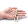 Eco-Friendly Dyed Glass Pearl Round Beads Strands HY-A002-6mm-RB005-5