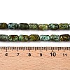 Natural African Turquoise(Jasper) Beads Strands G-G980-33B-5